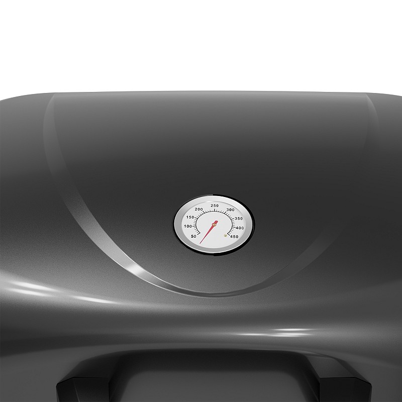 BBQ ΥΓΡΑΕΡΙΟΥ GS GRILL 2 + PLANCHA 8kW