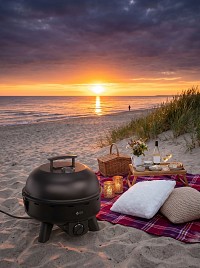 BBQ ΥΓΡΑΕΡΙΟΥ TGC 01L 4kW
